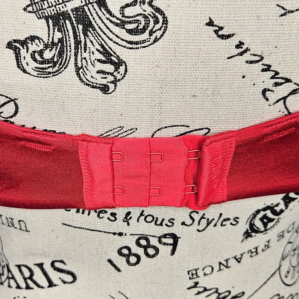 La SENZA 32DD Red Black Lace Plunge Bra Molded Cup Underwire Sexy Lingerie - Picture 8 of 15